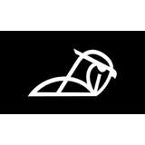 Kestra Financial Logo