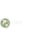 Carolina Outreach Logo