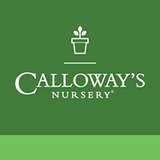Calloway's Nursery Logo