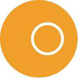 Neptune Software Logo