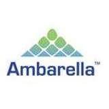 Ambarella