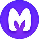 MagicSchool Logo