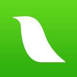 Lark Logo