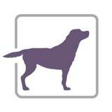 PurpleLab Logo