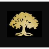 Avalon Holdings Logo