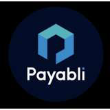 Payabli Logo