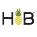 Hawaiian Bros Logo