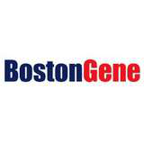 BostonGene Logo