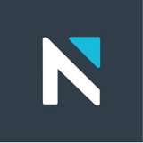 NELSON Logo