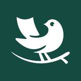 Landing Logo