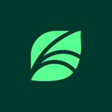 Spring Health Logo