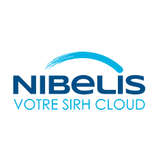 Nibelis Logo