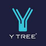 Y Tree Logo