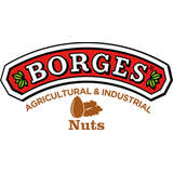 Borges BAIN Logo