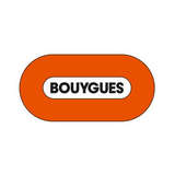 Bouygues Logo
