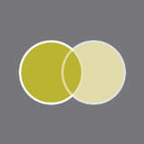 Europa Eyewear Logo